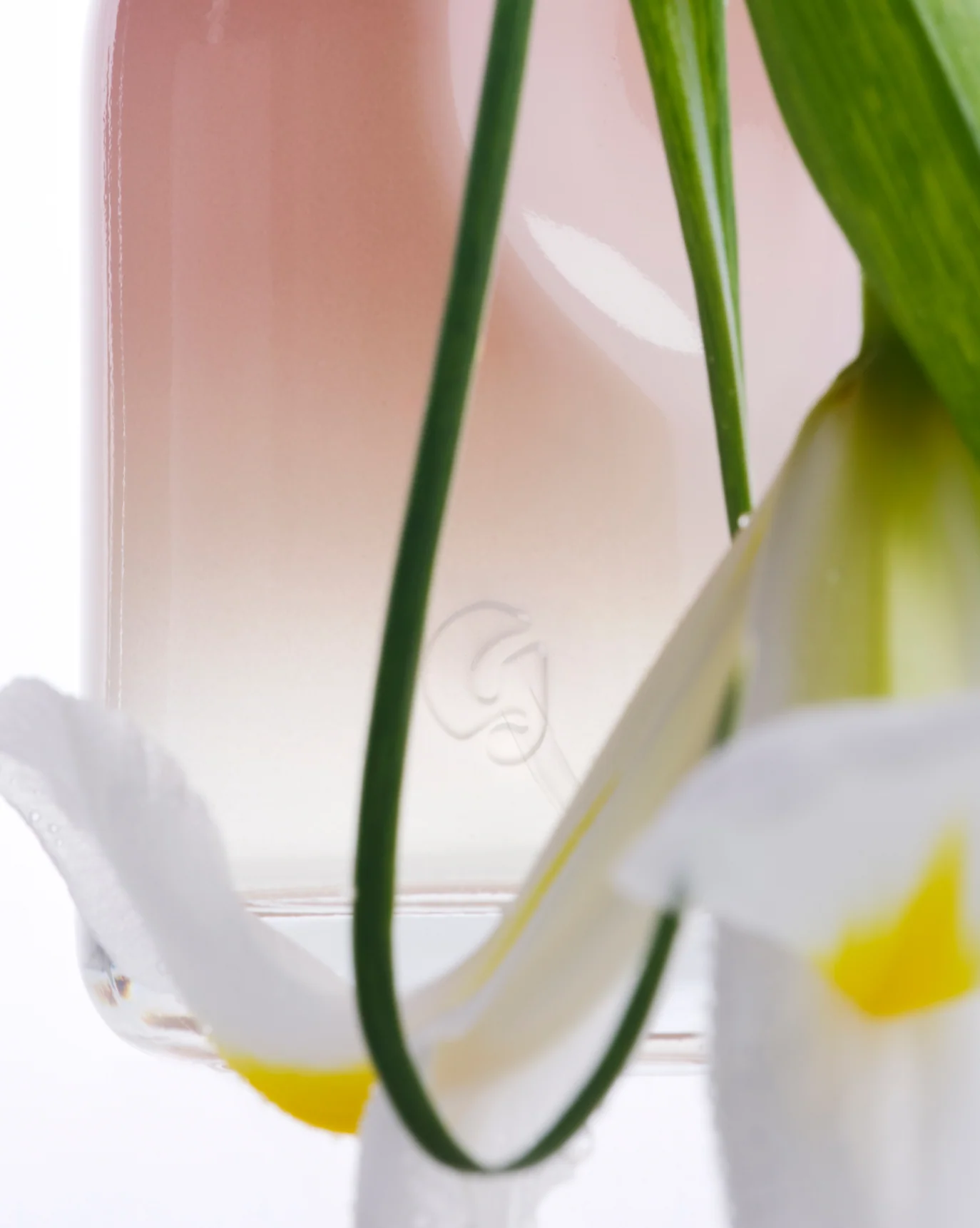 Glossier You - Image 4